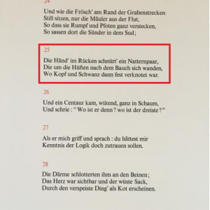 " Die Fäscher" (German)  H29 "Mohammed" -  Göttliche Komödie - Hölle by Salvador Dali #D25 by Salvador Dali  Image: German Text.