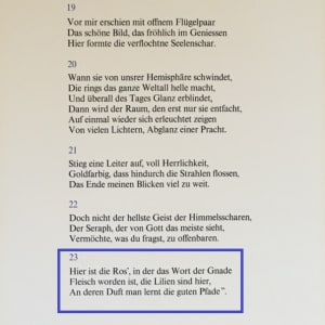 "Der Triumph Christi und der Jungfrau" P23 (German) "Garden of Christ" Göttliche Komödie by Salvador Dali #D34 by Salvador Dali  Image: German Text P23.