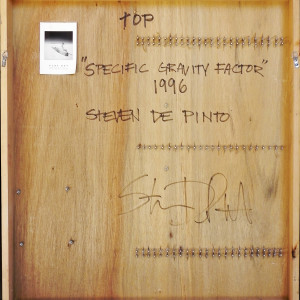 "Specific Gravity Factor" by Stephen De Pinto by Stephen De Pinto 