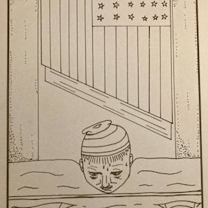 Capitol Punishment by Diana Atwood McCutcheon 
