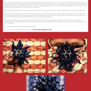 LHUCA Case Study Museum Education by Diana Atwood McCutcheon  Image: page 27