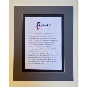 LHUCA Case Study Museum Education by Diana Atwood McCutcheon  Image: page 22