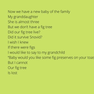 The Fig Tree by Diana Atwood McCutcheon  Image: page 1