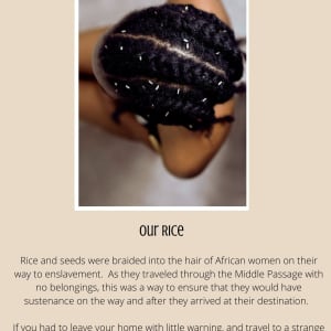 LHUCA Family Guide 5x7 Cards by Diana Atwood McCutcheon  Image: Our Rice