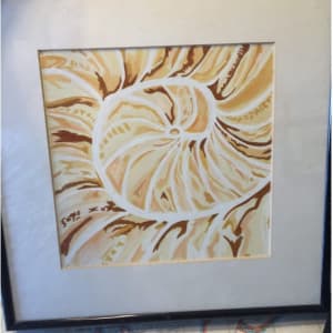 Nautilus by Diana Atwood McCutcheon 