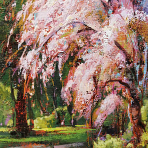 Sakura Season by Tatjana Mirkov-Popovicki