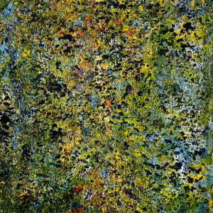 Clairière by Ansley Pye, Image 1.