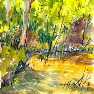 A Study of Water by Clair Bremner