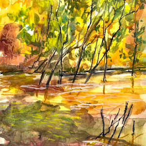 Sticks in the Water by Clair Bremner