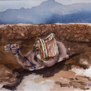 Egypt Series III: Camel at the Foot of Mt. Sinai by ioni mendoza