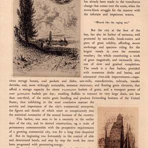 Niagara River from Lake to Lake, Volume 2 by Amos W. Sangster  Image: The River Road River—Canada, Elevator—Buffalo Harbor, 1886