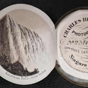Views about Niagara by Charles Bierstadt, Image 6.