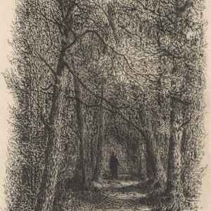 The Lover's Walk, Goat Island by Amos W. Sangster, Image 1.