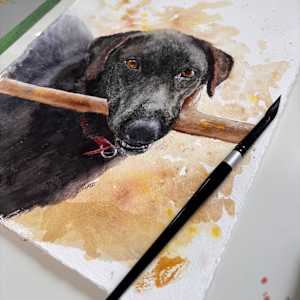 Archie by Chantal 