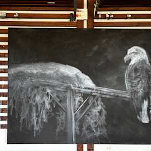 Silent Sentinel by Chantal  Image: in progress