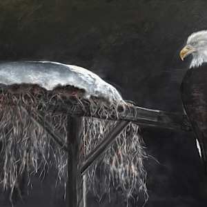 Silent Sentinel by Chantal  Image: in progress