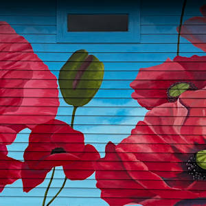"Remembrance" - Town of Stratford, PEI, 2025 by Chantal