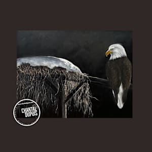 Silent Sentinel by Chantal  Image: For online distribution