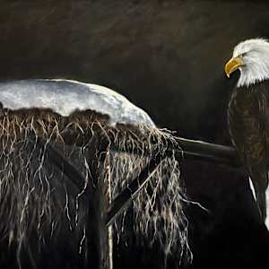 Silent Sentinel by Chantal  Image: more updates