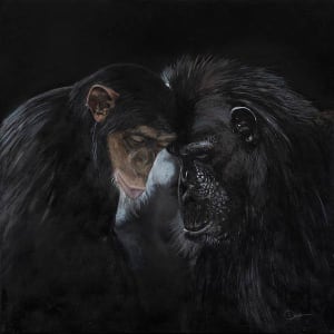 Unconditionality by Chantal
