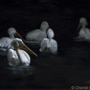The Last Full Moon by Chantal
