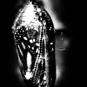 3rd Eye Open by Missy Burton