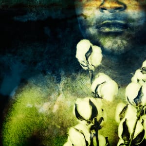 Dynasty: This Too Shall Pass by Missy Burton