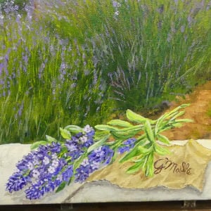 Champs de lavande -(Lavender field) by Gerard 