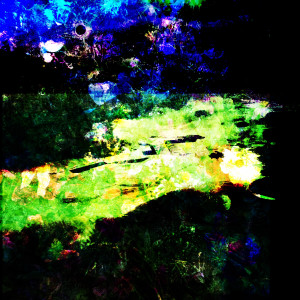 Bizarre Landscape by Bonnie Levinson, Image 1.