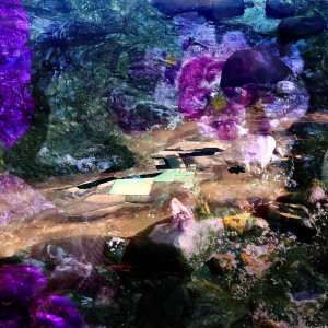 Bizarre Landscape by Bonnie Levinson, Image 3.