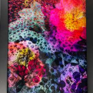 Hallucinations in focus (framed) by Bonnie Levinson