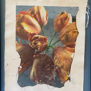 Tulips Through Time (framed) by Bonnie Levinson, Image 1.