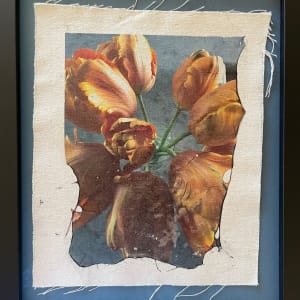 Tulips Through Time (framed) by Bonnie Levinson