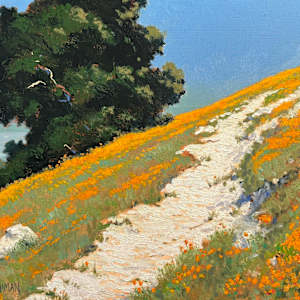 Poppy Hill Ocean View by Ed Penniman