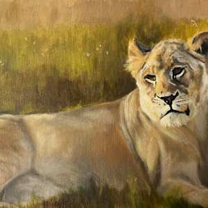 Sunbathing Lioness by Suzi Zefting-Kuhn