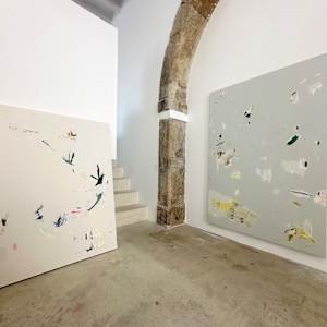 Conversations with the stars by Mariana Horgan 