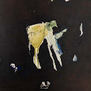To dream in fragments by Mariana Horgan 