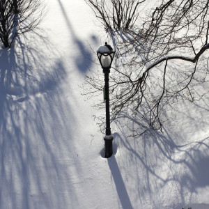 Lamp Post in the Snow by Eric Oliver