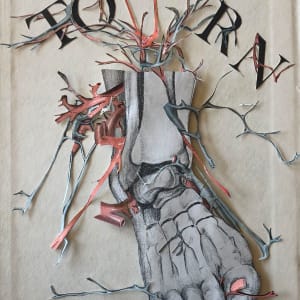 Torn Ligament by Katie McCann