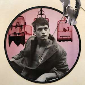 Finding A Place of My Own by Svenda Steinbrecher