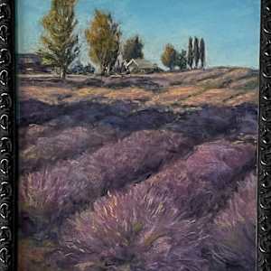 Untitled by Darcie Roberts