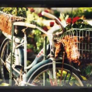 Untitled by Lisa Tri