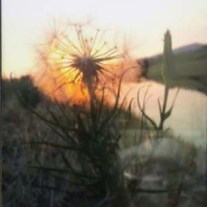 Untitled by Nicole Sloan