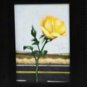 Wasco #1, 2, 3 by Sarah Wauzynski 