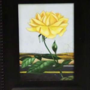 Wasco #1, 2, 3 by Sarah Wauzynski 