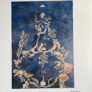 Untitled by Lili Mascio