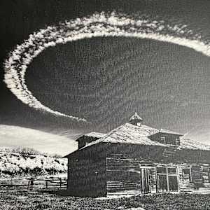 Leaves in the Stream by Tim Hull