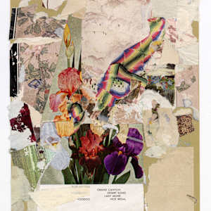 Iris Song by Andrea Burgay