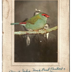 Aunt Julie by James Gallagher