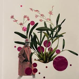 Orchid Series #1 by Karen Coull